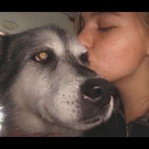 Meet your Posher, Brit